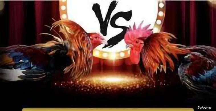 Khám Phá Đá Gà 98Win Trực Tuyến Đỉnh Cao Với Thưởng Khủng