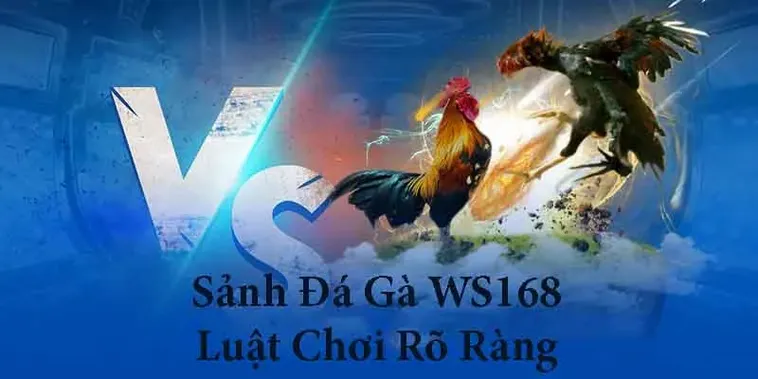 Cách Chơi Đá Gà WS168 Tại 98Win Hấp Dẫn Nhất Cho Tân Thủ