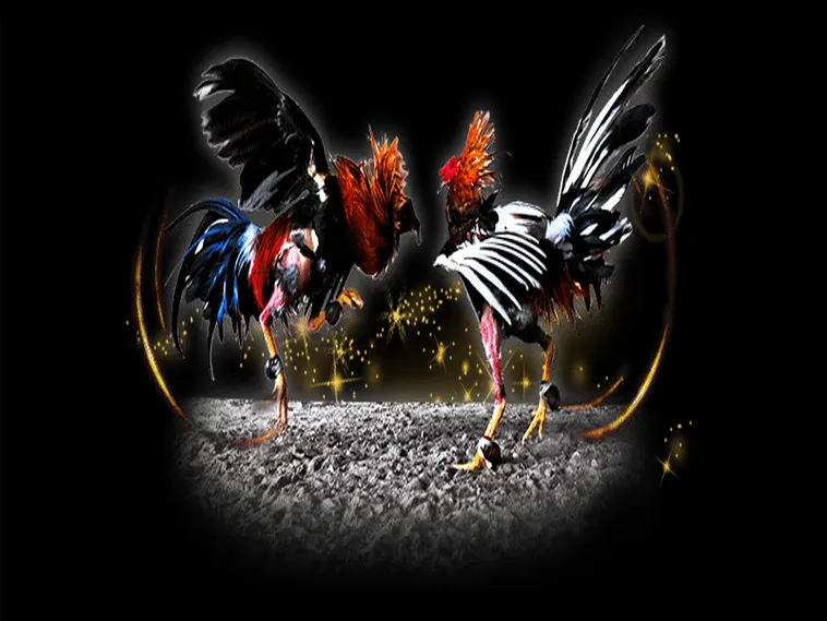 Cách Chơi Đá Gà Sabong Tại 98Win Thú Vị Cho Cược Thủ