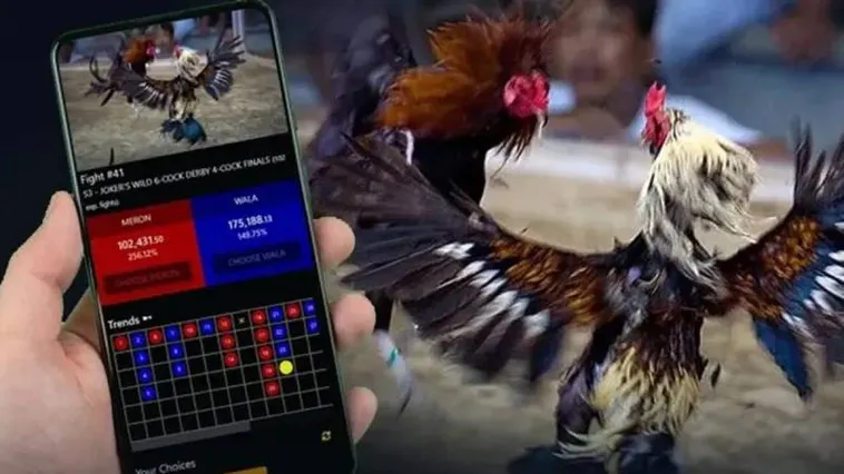 Khám Phá Đá Gà 98Win Trực Tuyến Đỉnh Cao Với Thưởng Khủng